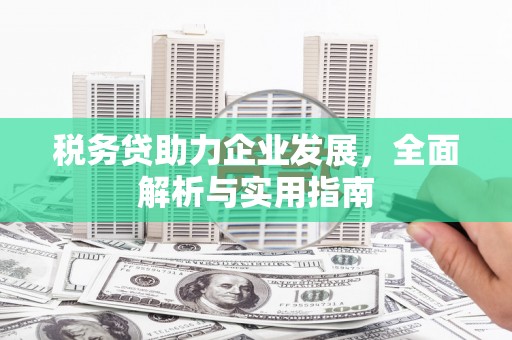 士林税务贷助力企业发展，全面解析与实用指南