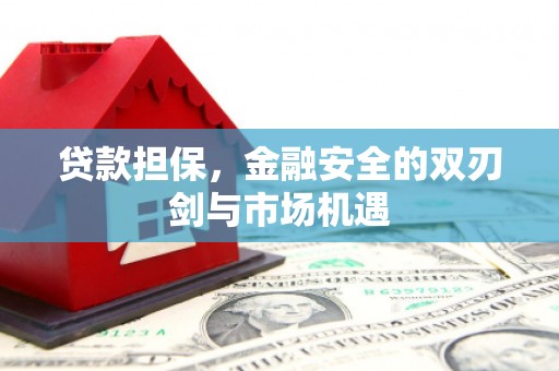 士林贷款担保，金融安全的双刃剑与市场机遇