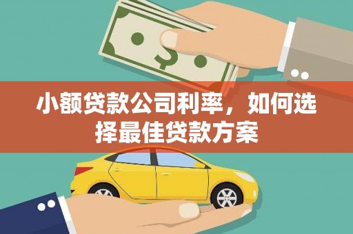 士林小额贷款公司利率，如何选择最佳贷款方案
