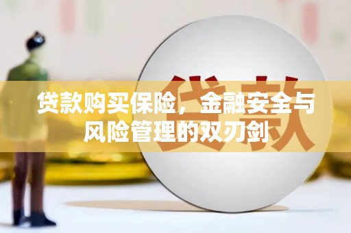 士林贷款购买保险，金融安全与风险管理的双刃剑