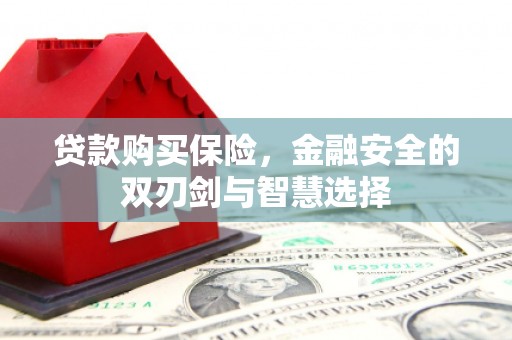 士林贷款购买保险，金融安全的双刃剑与智慧选择