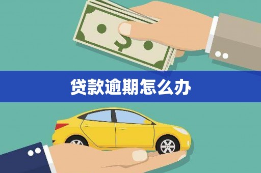 士林贷款逾期怎么办