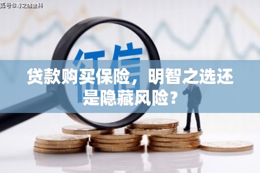 士林贷款购买保险，明智之选还是隐藏风险？