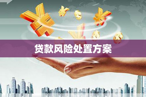 士林贷款风险处置方案