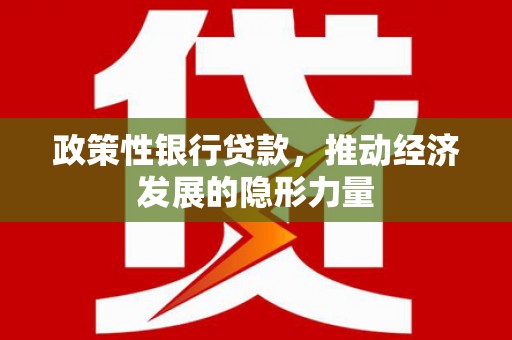 士林政策性银行贷款，推动经济发展的隐形力量