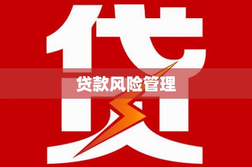 士林贷款风险管理