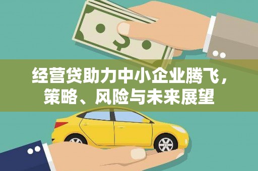 士林经营贷助力中小企业腾飞，策略、风险与未来展望