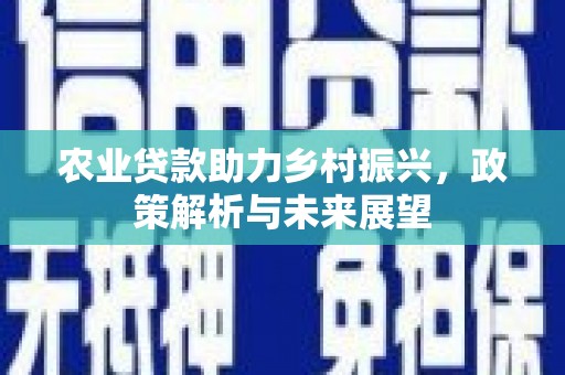 士林农业贷款助力乡村振兴，政策解析与未来展望