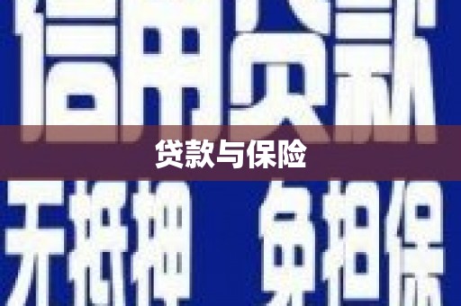 士林贷款与保险