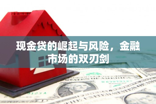 士林现金贷的崛起与风险，金融市场的双刃剑