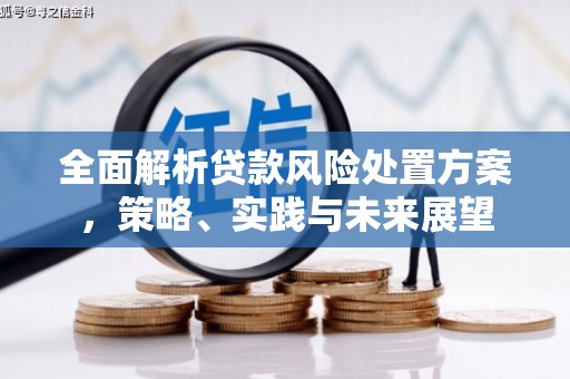 士林全面解析贷款风险处置方案，策略、实践与未来展望