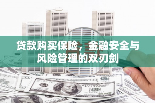 士林贷款购买保险，金融安全与风险管理的双刃剑