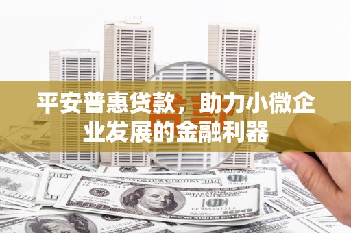 士林平安普惠贷款，助力小微企业发展的金融利器