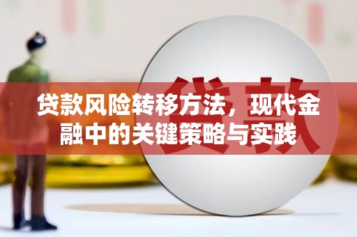 士林贷款风险转移方法，现代金融中的关键策略与实践