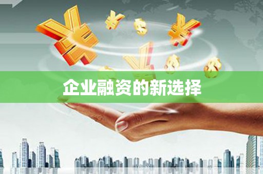 士林企业融资的新选择