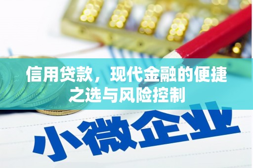 士林信用贷款，现代金融的便捷之选与风险控制