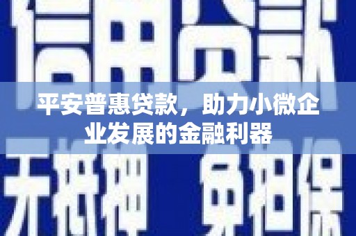 士林平安普惠贷款，助力小微企业发展的金融利器