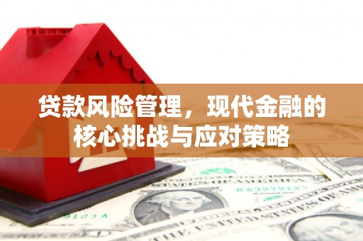 士林贷款风险管理，现代金融的核心挑战与应对策略