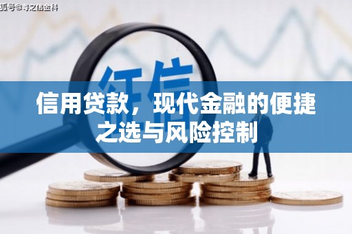 士林信用贷款，现代金融的便捷之选与风险控制