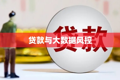 士林贷款与大数据风控