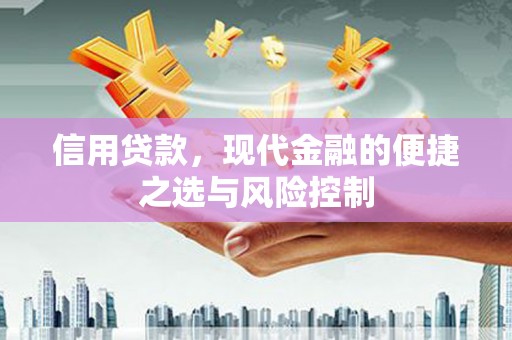 士林信用贷款，现代金融的便捷之选与风险控制