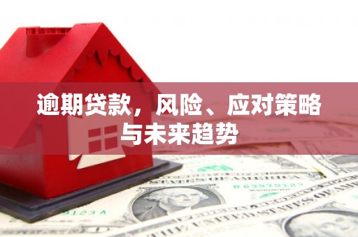 士林逾期贷款，风险、应对策略与未来趋势