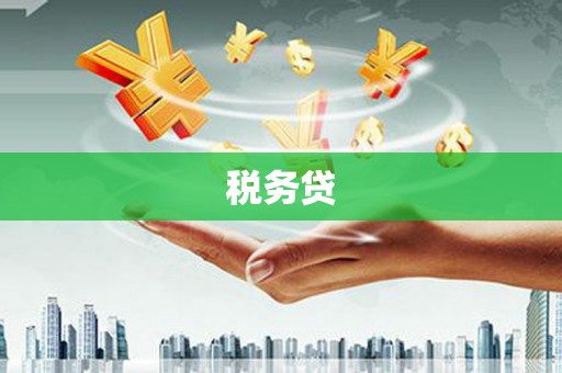 士林税务贷