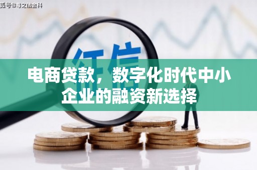 士林电商贷款，数字化时代中小企业的融资新选择
