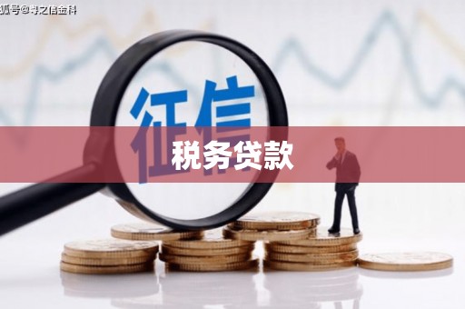 士林税务贷款