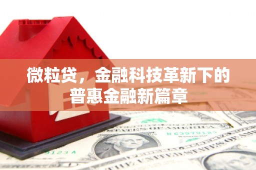 士林微粒贷，金融科技革新下的普惠金融新篇章