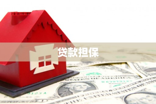 士林贷款担保