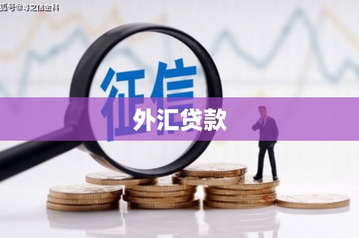 士林外汇贷款