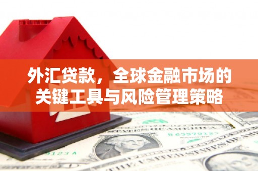 士林外汇贷款，全球金融市场的关键工具与风险管理策略