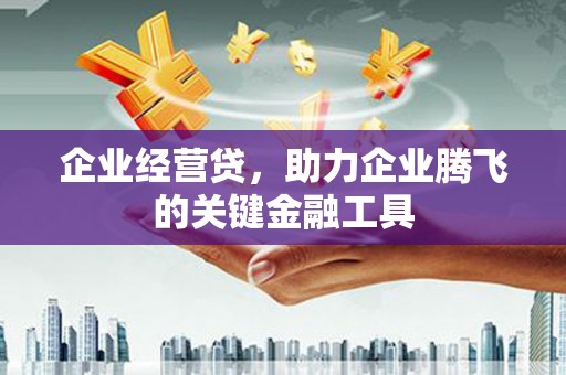 士林企业经营贷，助力企业腾飞的关键金融工具