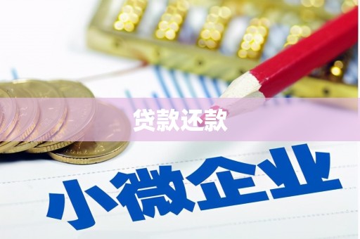 士林贷款还款