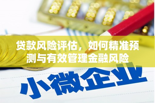 士林贷款风险评估，如何精准预测与有效管理金融风险