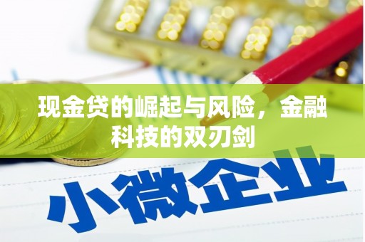 士林现金贷的崛起与风险，金融科技的双刃剑