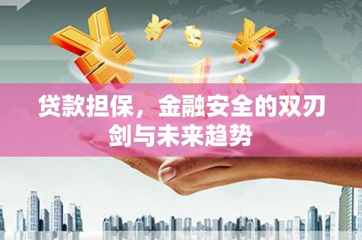 士林贷款担保，金融安全的双刃剑与未来趋势