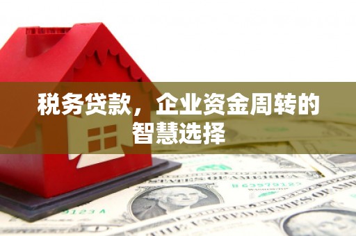 士林税务贷款，企业资金周转的智慧选择