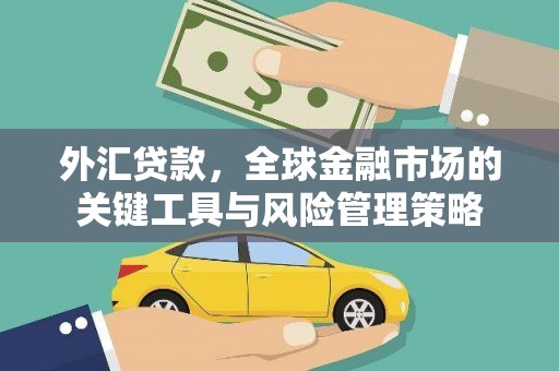 士林外汇贷款，全球金融市场的关键工具与风险管理策略