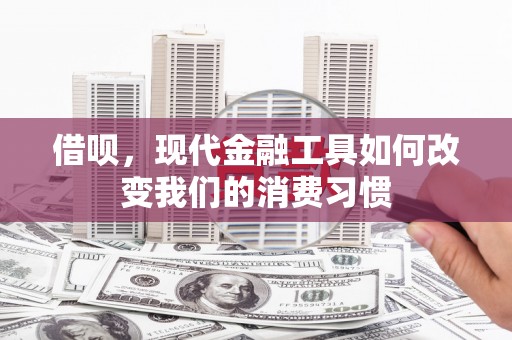 士林借呗，现代金融工具如何改变我们的消费习惯