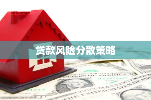 士林贷款风险分散策略