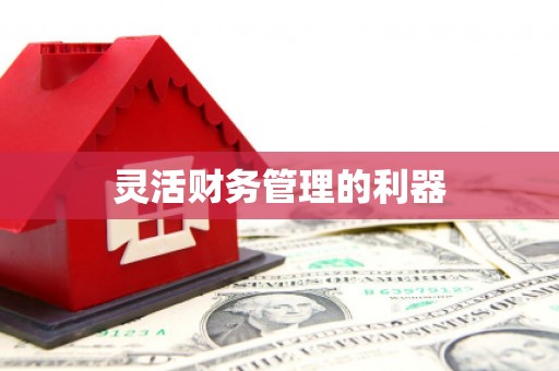 士林灵活财务管理的利器