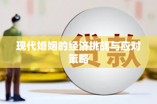 士林现代婚姻的经济挑战与应对策略
