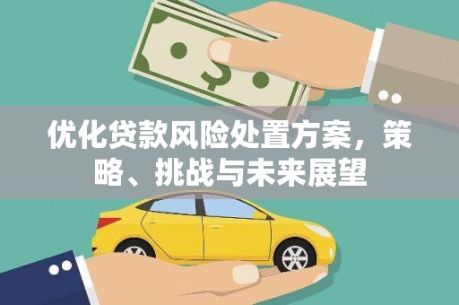 士林优化贷款风险处置方案，策略、挑战与未来展望