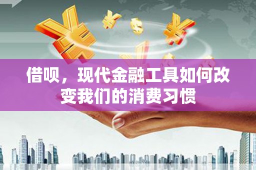 士林借呗，现代金融工具如何改变我们的消费习惯