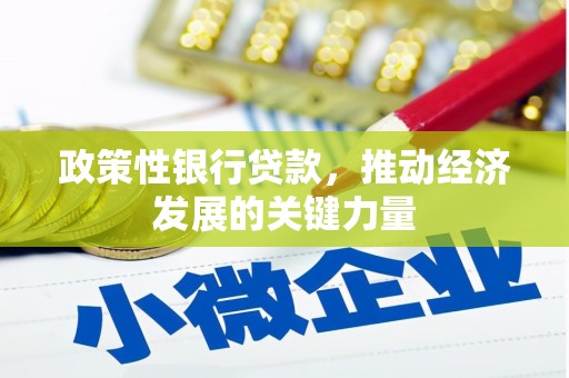 士林政策性银行贷款，推动经济发展的关键力量