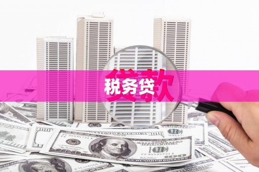 士林税务贷
