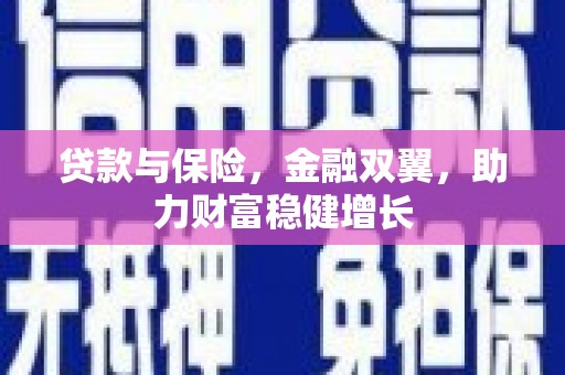 士林贷款与保险，金融双翼，助力财富稳健增长