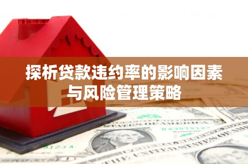 士林探析贷款违约率的影响因素与风险管理策略